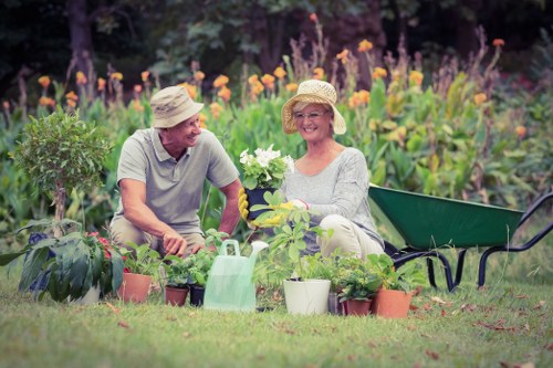 Professional hedge cutting service in Wembley for tidy residential and commercial properties