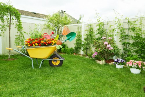 Tree health assessment by a Wembley arborist