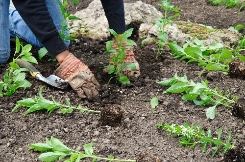 Reusable timber and green waste prepared for charity partnership
