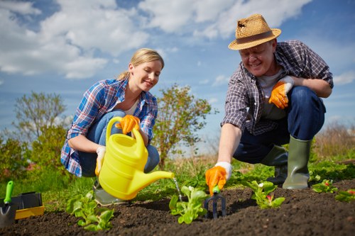 Final accessibility commitment for Wembley tree surgery services