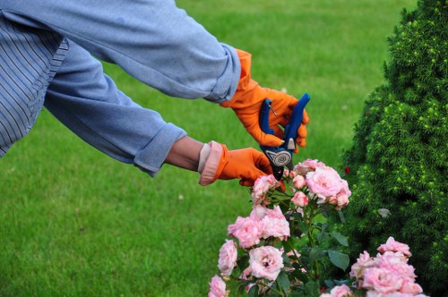 Insurance protection for tree surgery work in Wembley