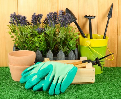 Waste handling and disposal after tree surgery services
