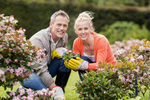 Supplier audit process for Wembley tree surgeons and supply chain checks
